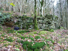 Stone buildings at Craig Furnace, Nant Gwyddon Valley, Abercarn, November 2011